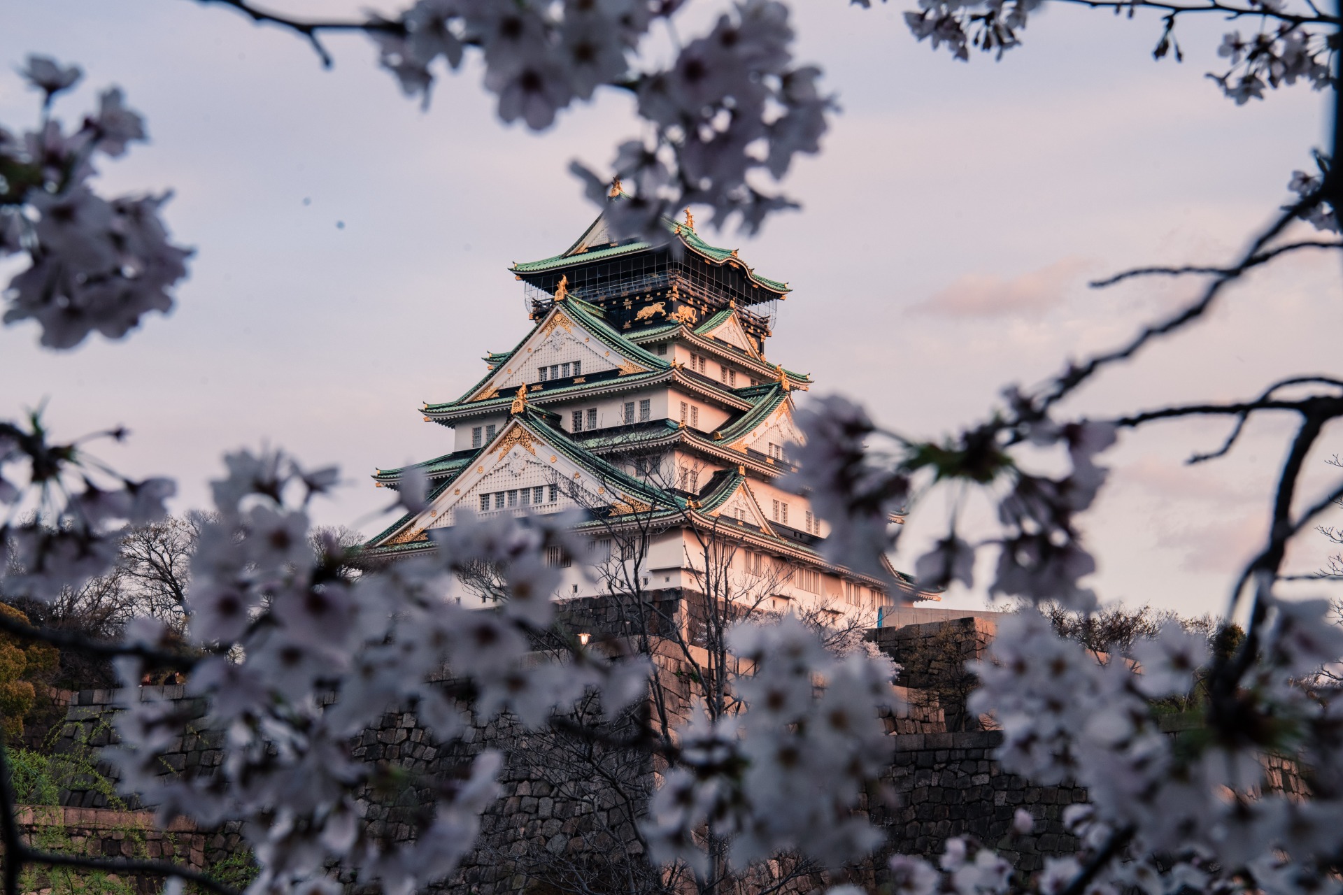 Templo japonés